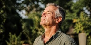 vitamin d muscle function